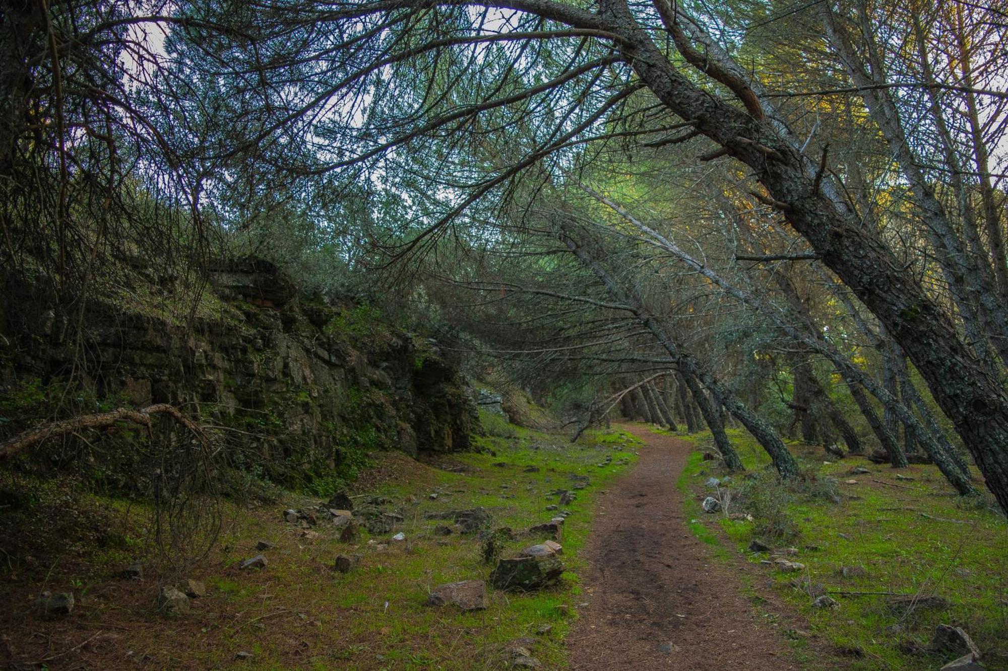 Villamaria, Alma De Despenaperros Miranda del Rey Экстерьер фото